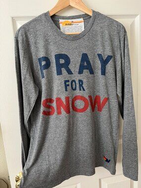 Aviator Nation Pray For Snow Long Sleeve Tee Gray USA Made Medium Ski Apres